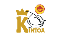 logo Logo Kintoa